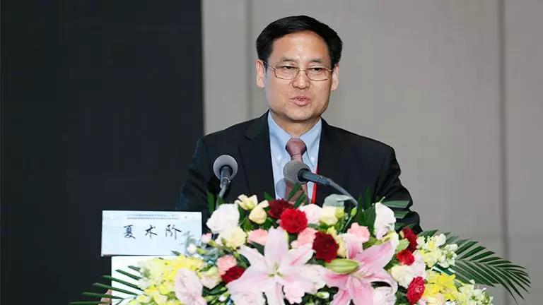 「小体积前列腺的治疗」上海市第一人民医院 夏术阶教授